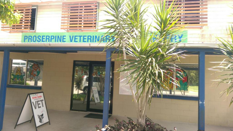 Proserpine Vet Surgery - Gold Coast Vets 1