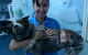 Proserpine Vet Surgery - thumb 5