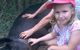 Proserpine Vet Surgery - thumb 11