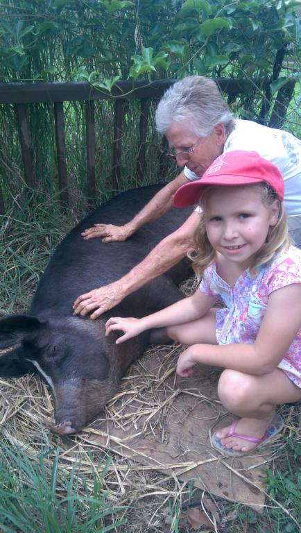 Proserpine Vet Surgery - Gold Coast Vets 11
