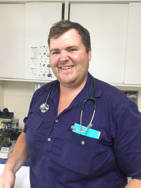 Proserpine Vet Surgery - Gold Coast Vets 13