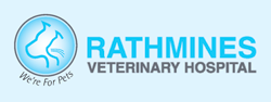 Rathmines Veterinary Hospital - Gold Coast Vets 0