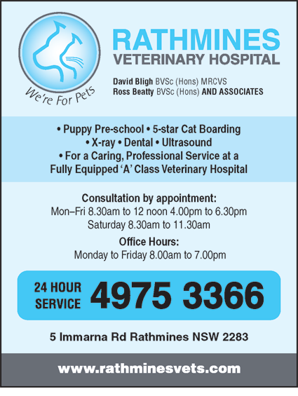 Rathmines Veterinary Hospital - Gold Coast Vets 4