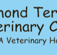 Raymond Terrace Veterinary Clinic - Gold Coast Vets