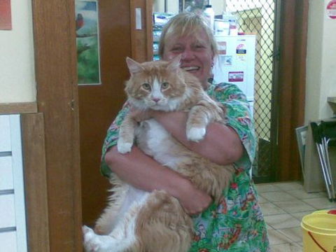 Raymond Terrace Veterinary Clinic - Gold Coast Vets 2