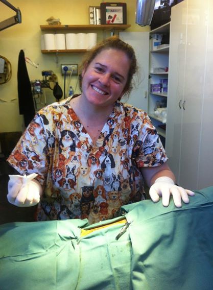 Raymond Terrace Veterinary Clinic - Gold Coast Vets 4