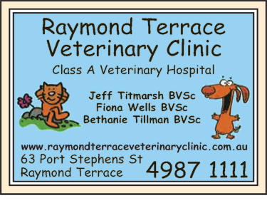 Raymond Terrace Veterinary Clinic - Gold Coast Vets 6