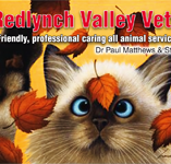 Redlynch Valley Vets - Gold Coast Vets