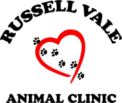 Russell Vale Animal Clinic - Gold Coast Vets 0