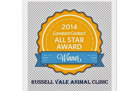 Russell Vale Animal Clinic - Gold Coast Vets 4