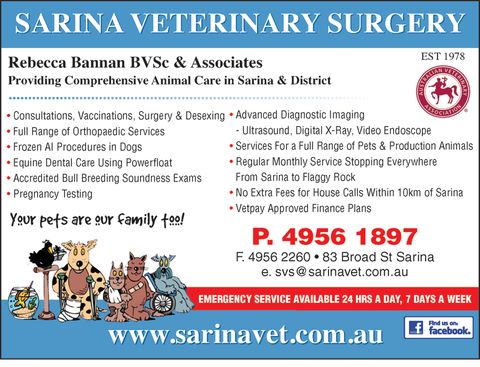 Sarina Veterinary Surgery - Gold Coast Vets 1