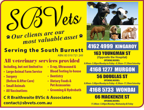 SBVets - Gold Coast Vets 4