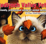 Sergeev Liza Vet Chiropractor - Gold Coast Vets