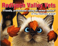 Sergeev Liza (Vet Chiropractor) - Gold Coast Vets 0