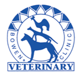 Seth McIntosh Bowen Vet - Gold Coast Vets