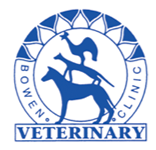 Seth McIntosh Bowen Vet - Gold Coast Vets 0