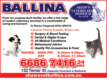 Shaws Veterinary Hospital - Gold Coast Vets 6