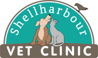 Book Shellharbour Accommodation Vacations Gold Coast Vets Gold Coast Vets