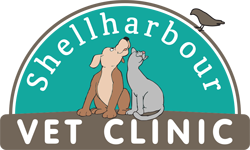 Shellharbour Veterinary Clinic - Gold Coast Vets 0