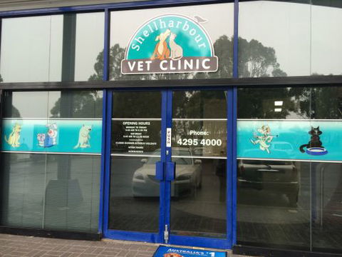 Shellharbour Veterinary Clinic - Gold Coast Vets 1