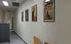 Shellharbour Veterinary Clinic - thumb 2