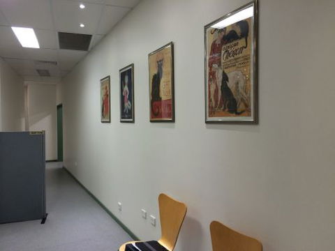 Shellharbour Veterinary Clinic - Gold Coast Vets 2