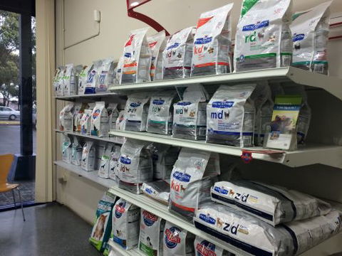 Shellharbour Veterinary Clinic - Gold Coast Vets 4