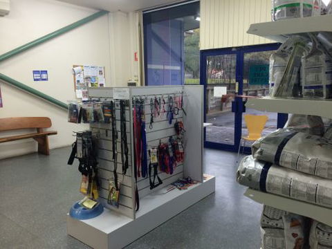 Shellharbour Veterinary Clinic - Gold Coast Vets 5