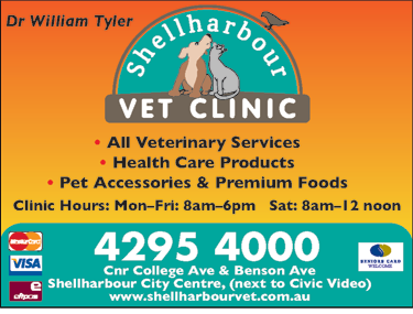 Shellharbour Veterinary Clinic - Gold Coast Vets 6