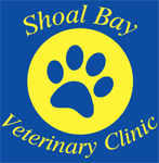 Shoal Bay Veterinary Clinic - Gold Coast Vets 0