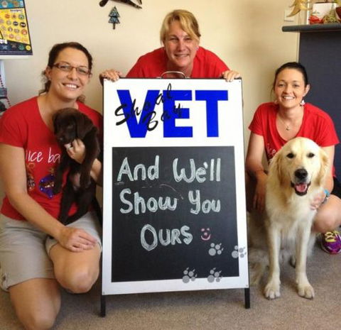 Shoal Bay Veterinary Clinic - Gold Coast Vets 4