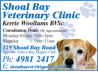 Shoal Bay Veterinary Clinic - Gold Coast Vets 6