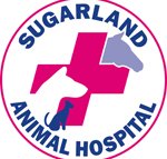 Sugarland Animal Hospital - Gold Coast Vets