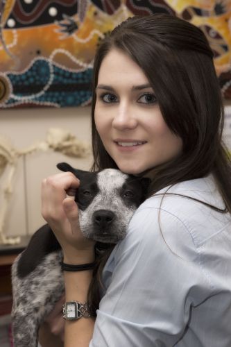 Sugarland Animal Hospital - Gold Coast Vets 1
