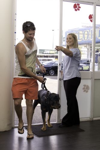 Sugarland Animal Hospital - Gold Coast Vets 2