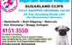 Sugarland Animal Hospital - thumb 5