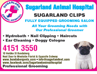 Sugarland Animal Hospital - Gold Coast Vets 5