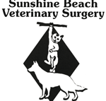 Sunshine Beach Veterinary Surgery - Gold Coast Vets
