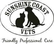 Sunshine Coast Vets - Gold Coast Vets 0