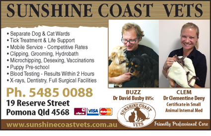 Sunshine Coast Vets - Gold Coast Vets 1