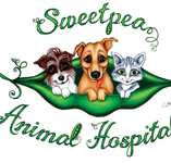 Sweet Pea Animal Hospital - Gold Coast Vets