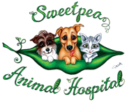Sweet Pea Animal Hospital - Gold Coast Vets 0
