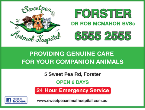 Sweet Pea Animal Hospital - Gold Coast Vets 1