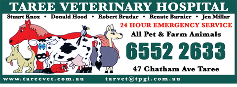 Taree Veterinary Hospital - Gold Coast Vets 1