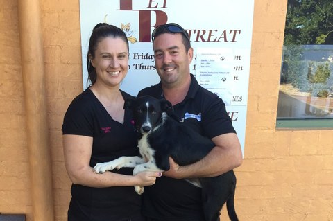 Tarraray Pet Retreat - Gold Coast Vets 8