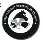 Book Tenterfield Accommodation Vacations Gold Coast Vets Gold Coast Vets