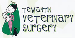 Cooroibah QLD Gold Coast Vets