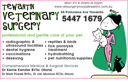 Tewantin Veterinary Surgery - Gold Coast Vets 2