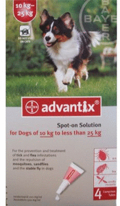Tewantin Veterinary Surgery - Gold Coast Vets 7