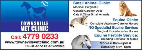 Townsville Vet Clinic - Gold Coast Vets 2